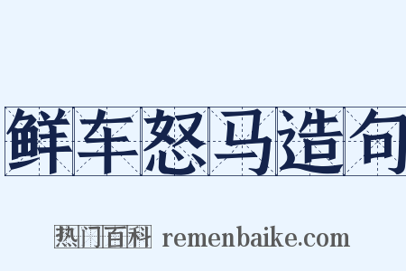 鲜车怒马造句是什么意思的图片